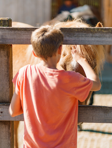 Therapie: Arbeit mit Tieren