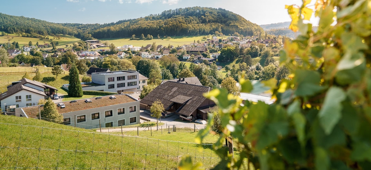 Schulheim Effingen