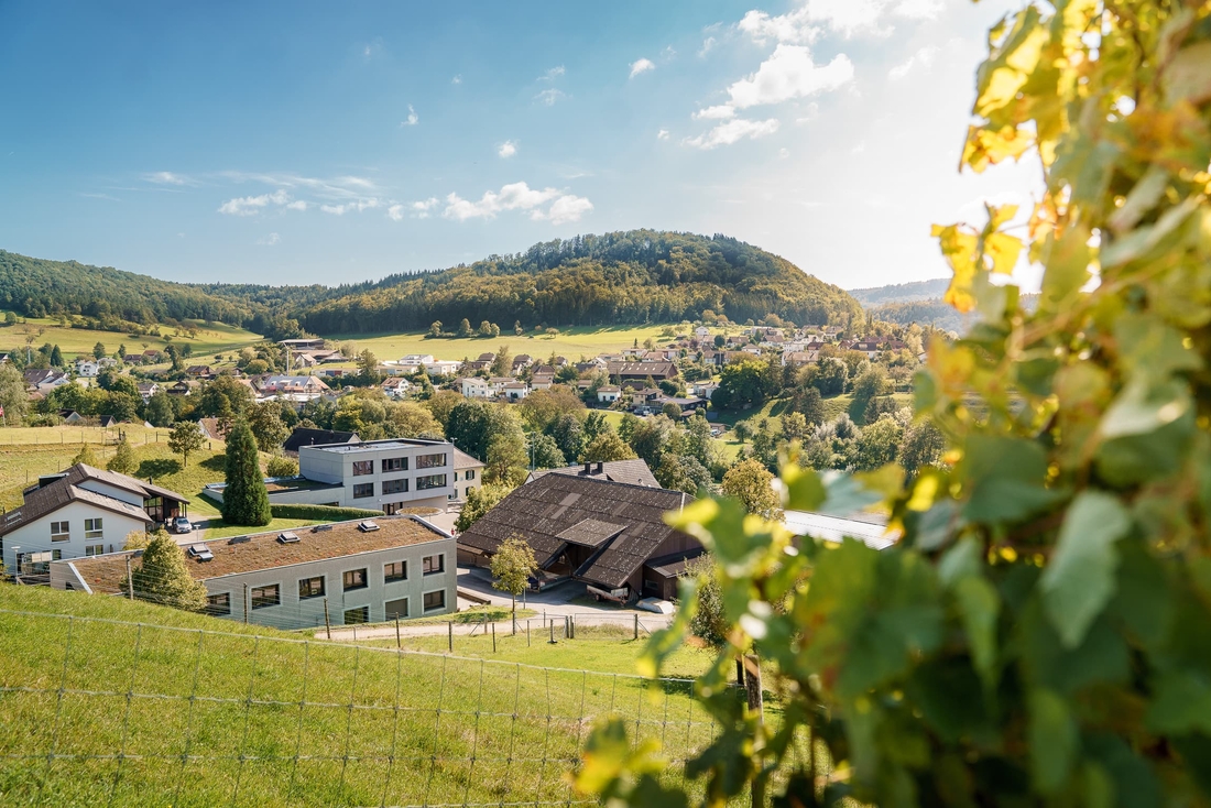 Schulheim Effingen