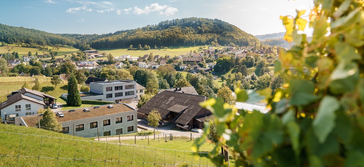 Schulheim Effingen