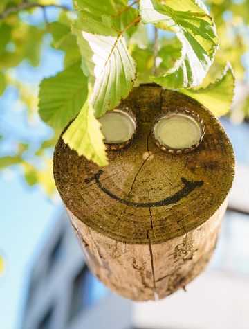 Qualitätsmanagement nach ISO 9001